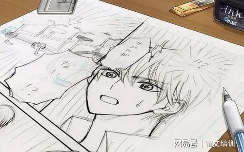 動漫設(shè)計(jì)自考指南 適合人群與畢業(yè)時間解析